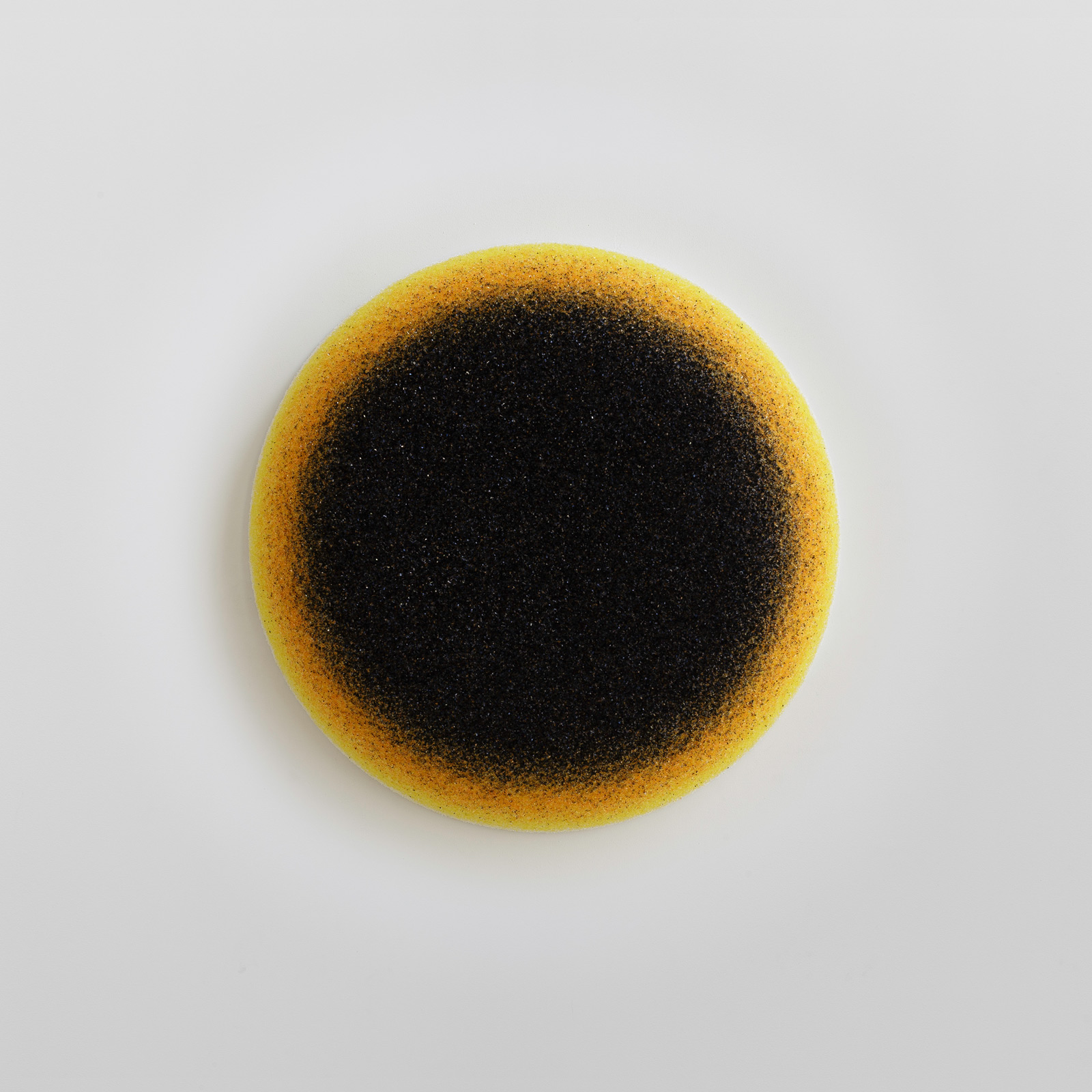 Vincent BEAURIN Ocelle, 2016. Vincent BEAURIN Ocelle, 2016.