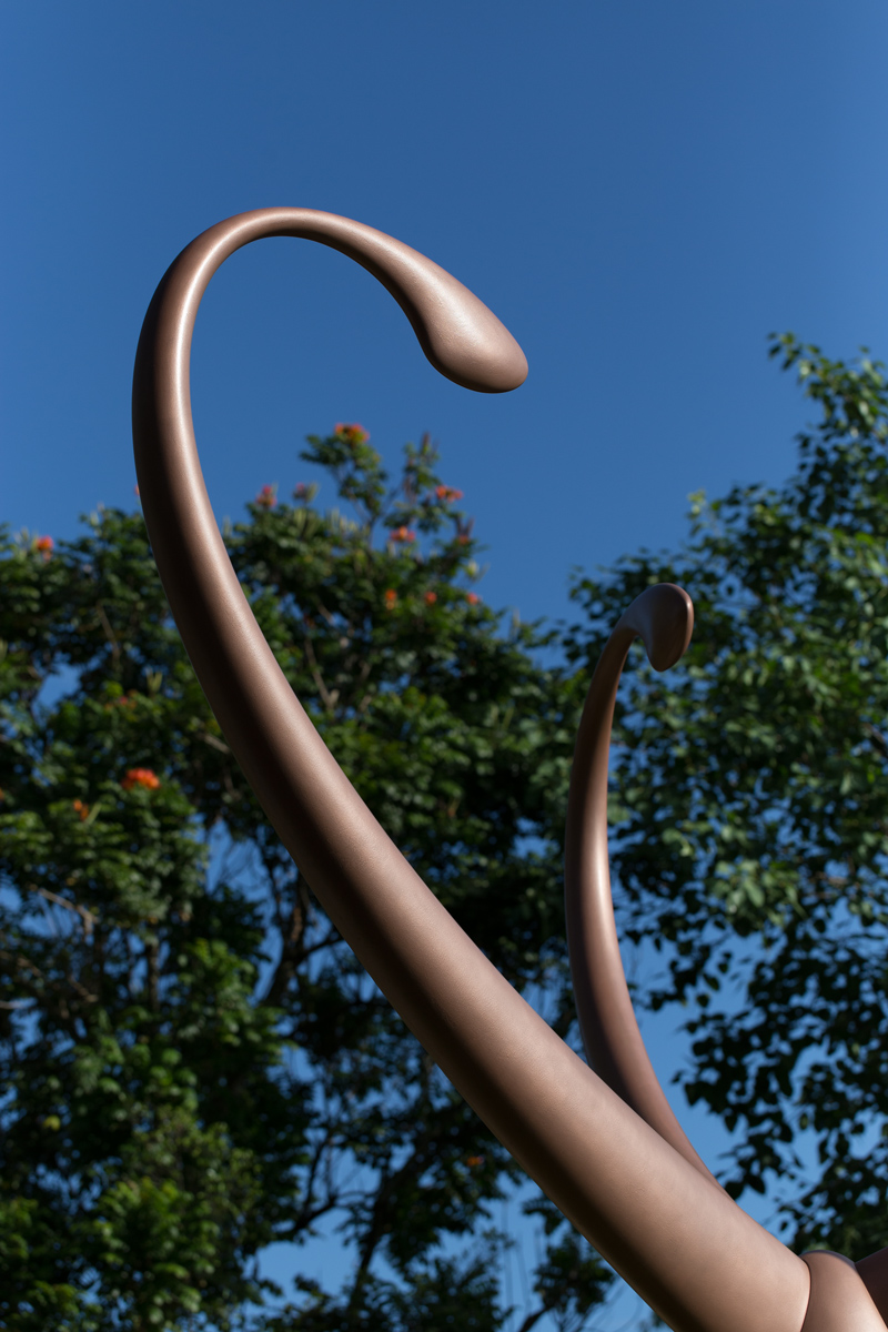 Vincent BEAURIN Tree of Life, 2015-2016. Vincent BEAURIN Tree of Life, 2015-2016.