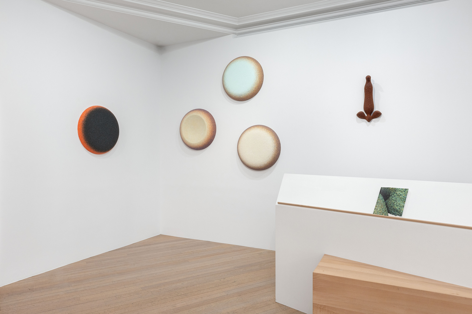 SOLO SHOW - INCARNAT - 12.05 SOLO SHOW - INCARNAT - 12.05